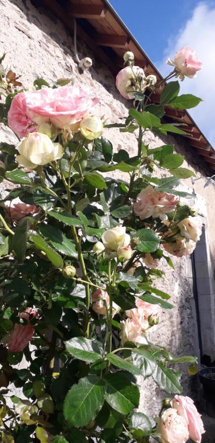 Au Fabuleux Festin Hotell La Possonnière Exteriör bild
